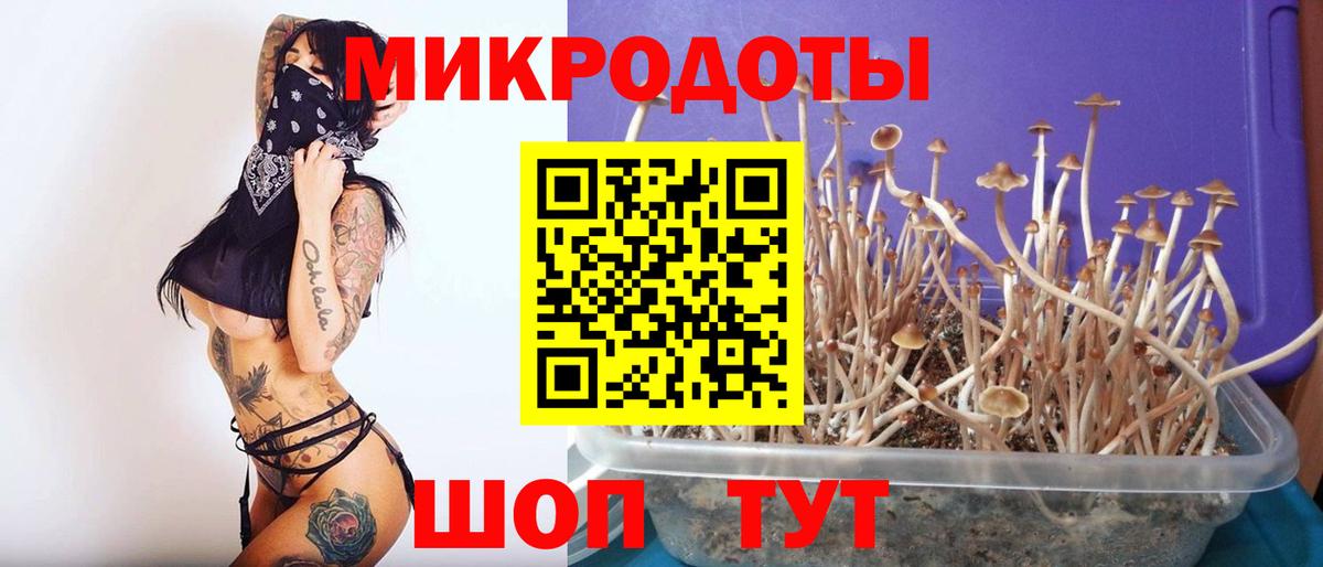 Псилоцибиновые грибы MAGIC MUSHROOMS Богородицк