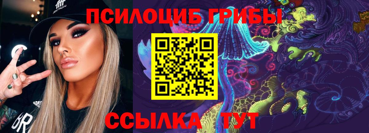 Богородицк  Псилоцибиновые грибы мухоморы  Вход с VPN 